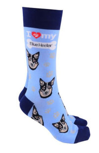 BLUE HEELER SOCKS